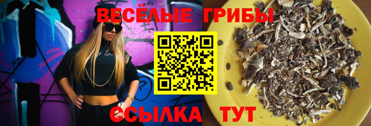 Когалым  Галлюциногенные грибы Magic Shrooms  Вход с VPN 