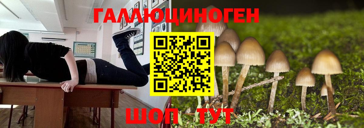 Псилоцибиновые грибы MAGIC MUSHROOMS Когалым